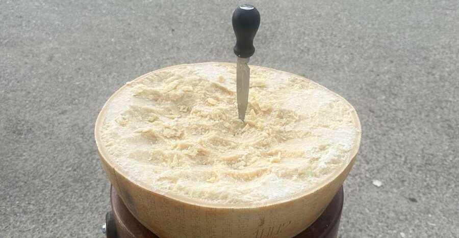 From Bologna: Parmesan Cheese & Balsamic Vinegar Tour+Lunch - Tips Before You Go (Simple Stuff That Helps)