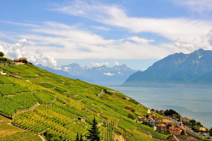 From Geneva: Gruyères Private Tour Cheese & Chocolat Factory - Lunch add-on value: when it makes sense and when to skip it