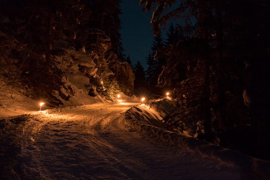 From Interlaken: Night Sledding with Cheese Fondue Dinner - Alpine Views on the Way Down: Forests, Meadows, and Frozen Waterfall Moments