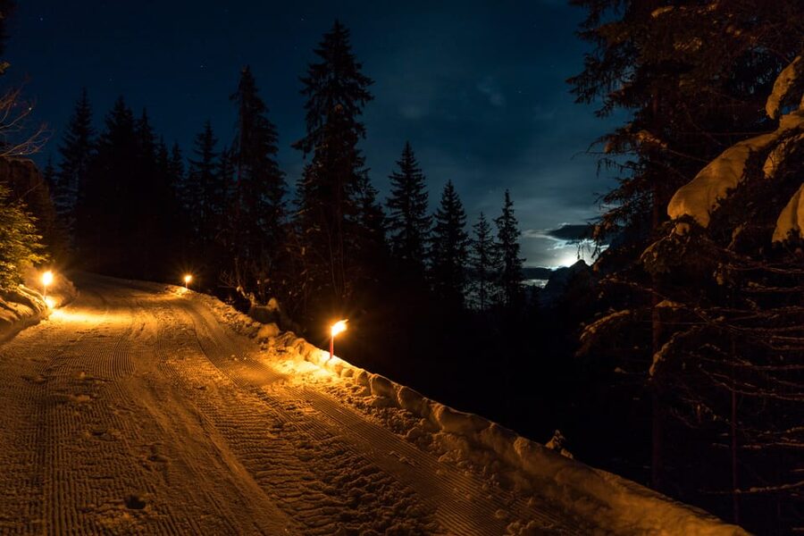 From Interlaken: Night Sledding with Cheese Fondue Dinner - Price and Value: Is $166 Worth It?