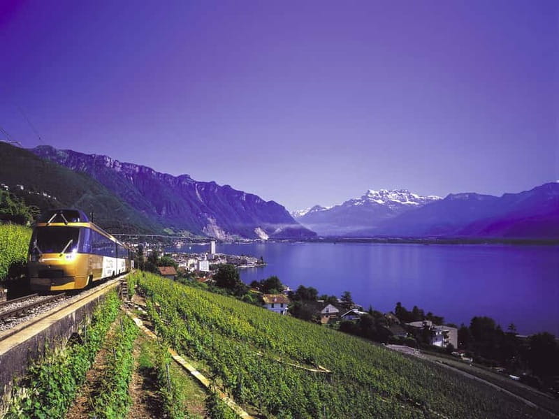 From Lausanne: Gruyères Tour with Train, Chocolate & Cheese - Gruyère cheese museum plus fondue lunch: the learning-to-eating bridge