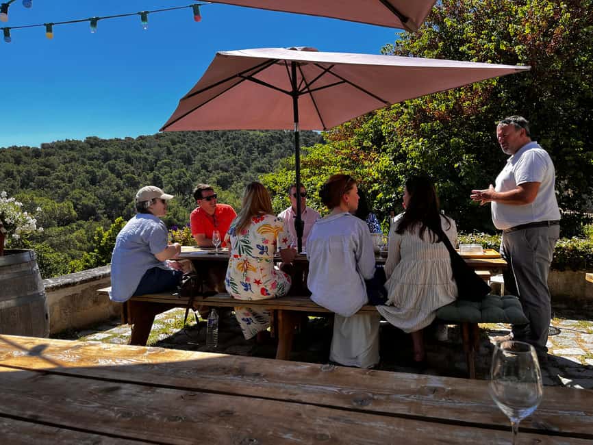 From Marseille: Aix en Provence Wine and Cheese Tour - Key things I’d circle before you book