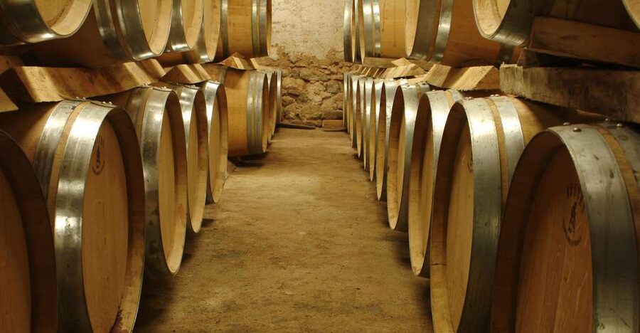 From Marseille: Aix en Provence Wine and Cheese Tour - Goat farm and cheese-making: where the pairing becomes the point