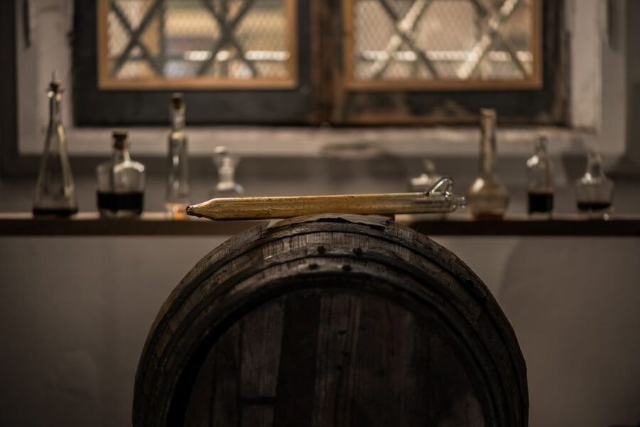 From Parma: Parmesan Cheese, Ham and Balsamic Vinegar Tour - Langhirano or Felino: the ham farm and what curing really means