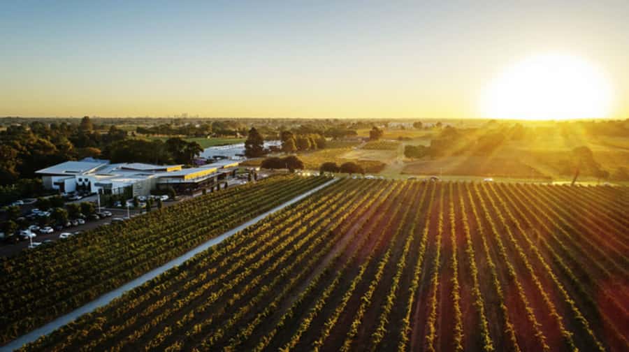From Perth: Swan Valley Cruise, Winery, Cheese & Lunch - Key Things I’d Highlight Before You Go