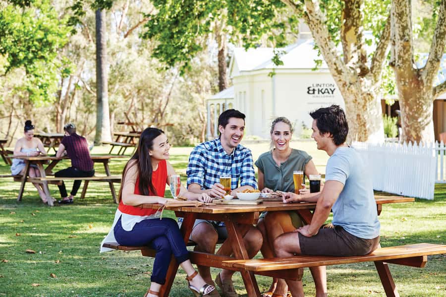 From Perth: Swan Valley Cruise, Winery, Cheese & Lunch - Return Cruise at 3:15: Afternoon Tea, Dessert, and Included Wines