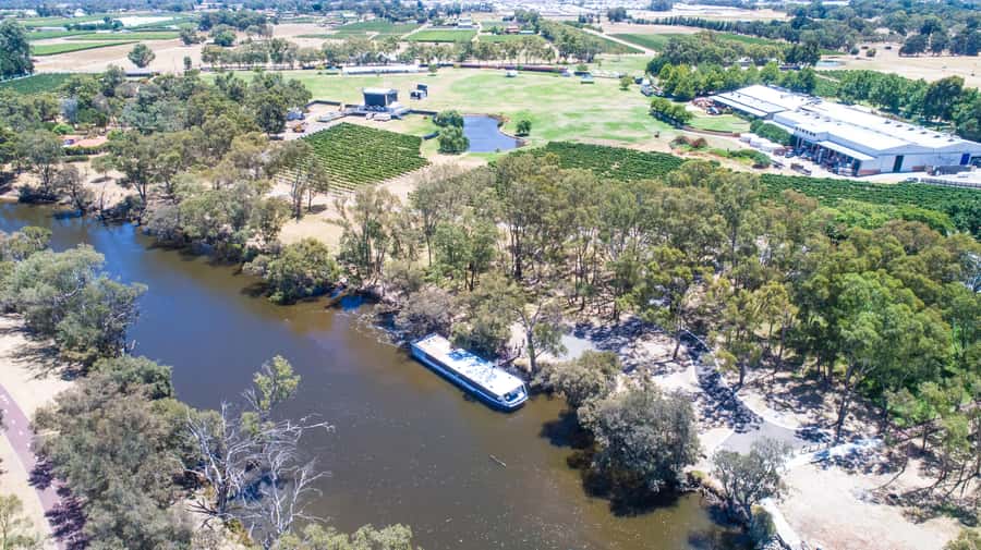 From Perth: Swan Valley Cruise, Winery, Cheese & Lunch - Food, Wine, and Service: Where This Tour Usually Wins
