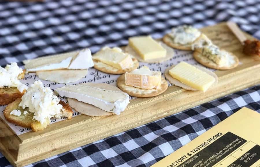 From Sydney: Award-Winning Hunter Valley Wine & Cheese Tour - Key highlights I’d put on your radar
