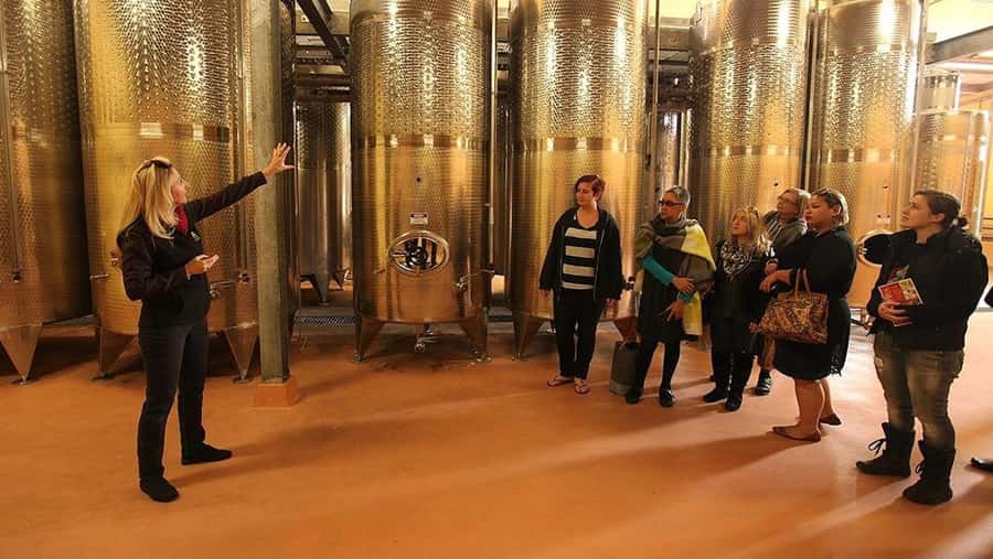 From Sydney: Award-Winning Hunter Valley Wine & Cheese Tour - Winery tasting day: what 20+ wines really means for your palate