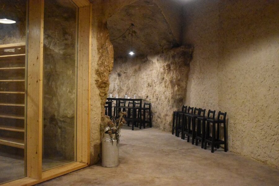 From Valencia: Guided Cheese Factory Tour with Wine Tasting - Should you book the Valencia to Utiel-Requena cheese and wine day trip?