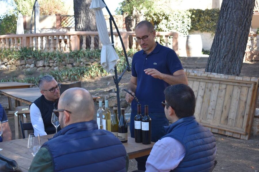 From Valencia: Guided Cheese Factory Tour with Wine Tasting - Price and value: what $117 buys in a 7-hour, guided food-and-wine loop