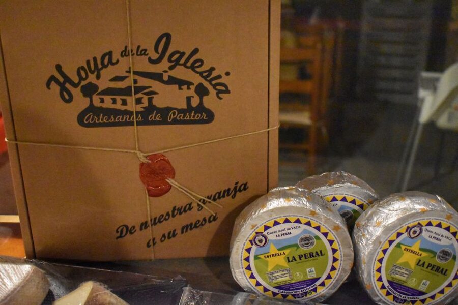 From Valencia: Guided Cheese Factory Tour with Wine Tasting - Who this tour suits best (and who should skip it)