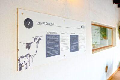 Fuerteventura: Artisan Goat's Cheese Making at Local Farm - Why Fuerteventura’s Majorero goat cheese is the star of the island