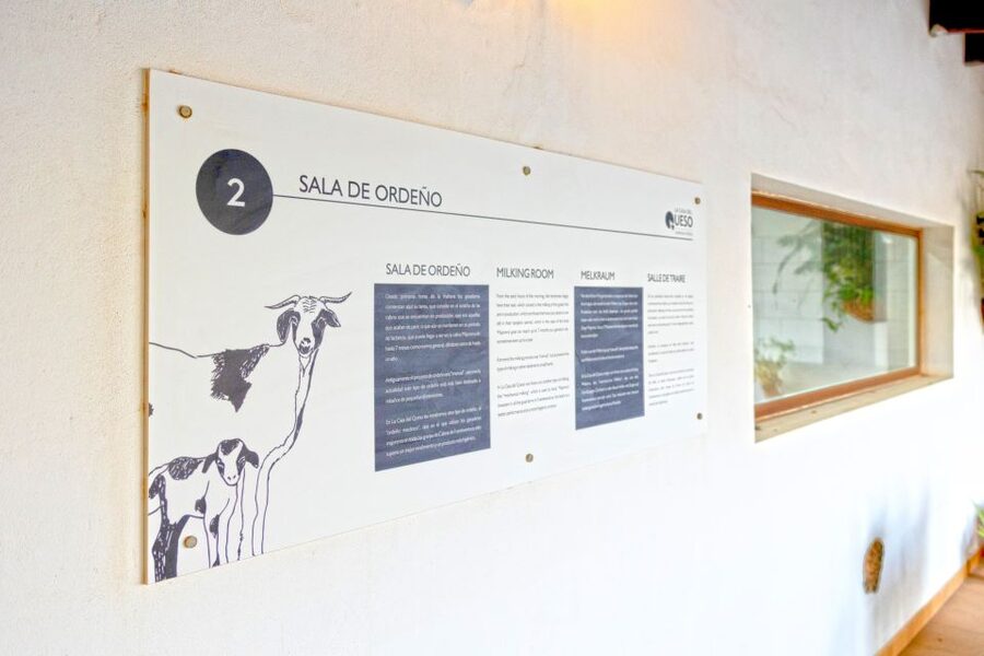Fuerteventura: Artisan Goat's Cheese Making at Local Farm - Why Fuerteventura’s Majorero goat cheese is the star of the island