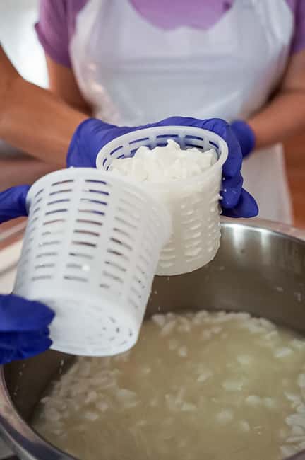 Fuerteventura Goat Cheese Workshop with Transfer from the South - Key things to know before you go