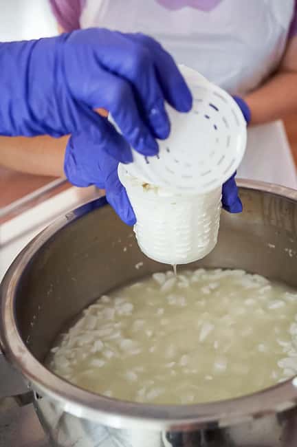 Fuerteventura Goat Cheese Workshop with Transfer from the South - Goat Cheese on Fuerteventura: Why This Workshop Feels Different