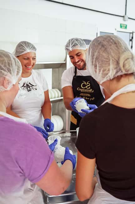 Fuerteventura Goat Cheese Workshop with Transfer from the South - Inside the Goat Farm: What the 350-Animal Experience Adds