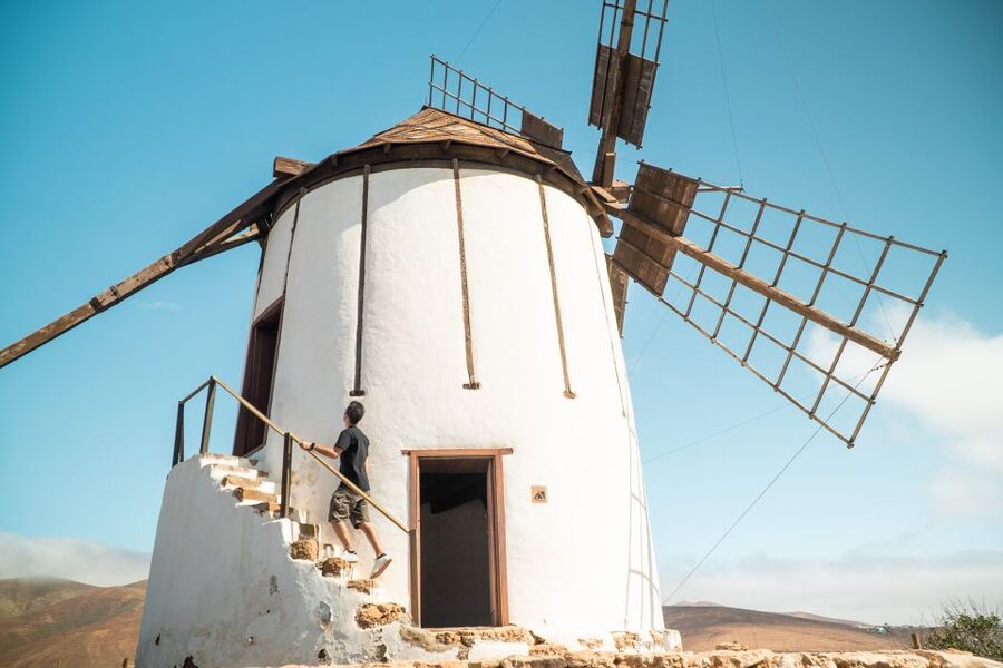Fuerteventura: Tickets to Salt, Cheese and Windmill Museums - Key highlights you’ll feel fast