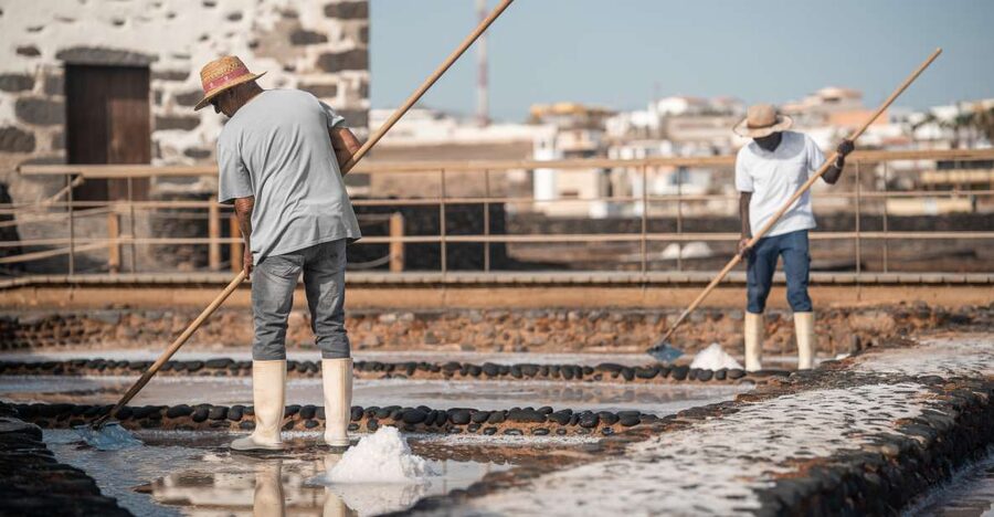 Fuerteventura: Tickets to Salt, Cheese and Windmill Museums - When not to book: your decision checklist