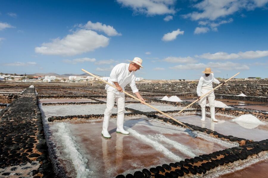 Fuerteventura: Tickets to Salt, Cheese and Windmill Museums - Price and value: why $14 can make sense