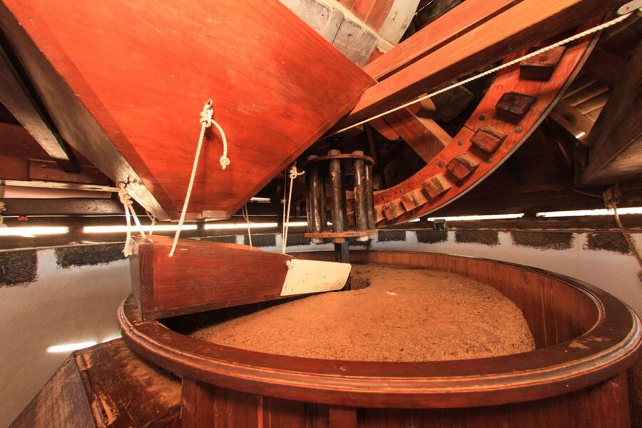 Fuerteventura: Tickets to Salt, Cheese and Windmill Museums - Who this experience suits best