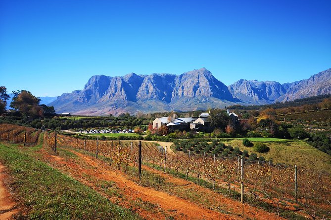 Full-Day Chocolate, Cheese, Olive and Wine Tour from Stellenbosch - A full-day Cape Winelands plan that doesn’t require babysitting