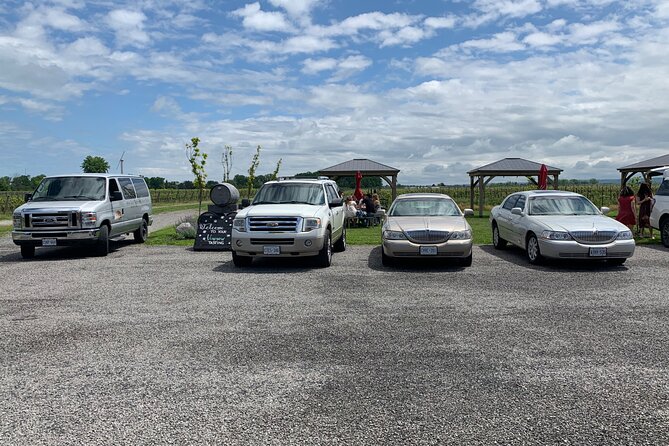 Full-Day Group Wine Tour (with cheese and charcuterie) in Niagara-on-the-Lake - De Simone Vineyards: organic estate wines with a focused tasting