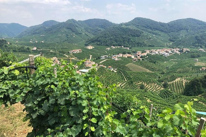 Full Day Prosecco and Cheese Tasting from Venice - Key Highlights Worth Booking