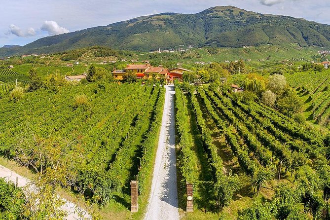 Full Day Prosecco and Cheese Tasting from Venice - A Guide Who Actually Explains: Riccardo’s Approach