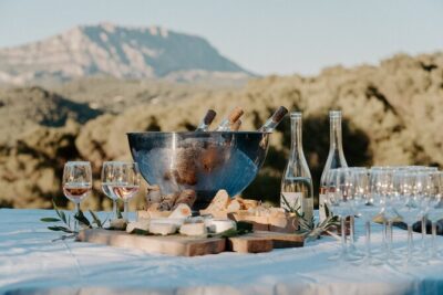Full-Day Wine and Cheese Tour around Aix-en-Provence from Marseille - The Morning Combo: Winery Tastings and a Goat Farm for Cheese