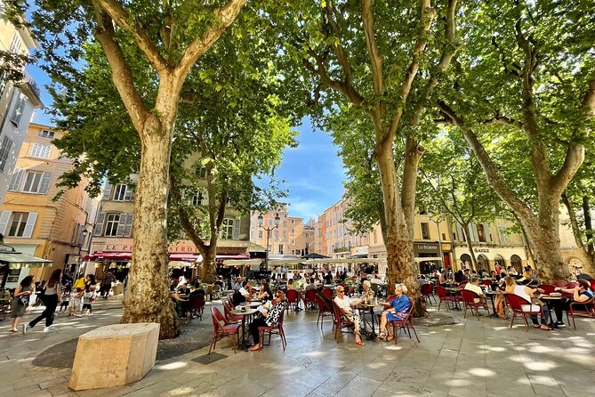 Full-Day Wine and Cheese Tour around Aix-en-Provence from Marseille - Afternoon at a Second Winery: What You’ll See and Taste Next