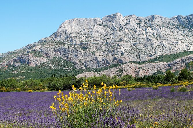 Full-Day Wine and Cheese Tour around Aix-en-Provence from Marseille - Who This Tour Suits (and Who Should Skip It)