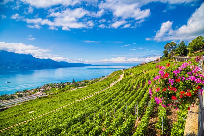 Geneva to Gruyère Private Day Trip. Cheese & Chocolate Tour - Price and value: what $554.44 buys you (and what to double-check)