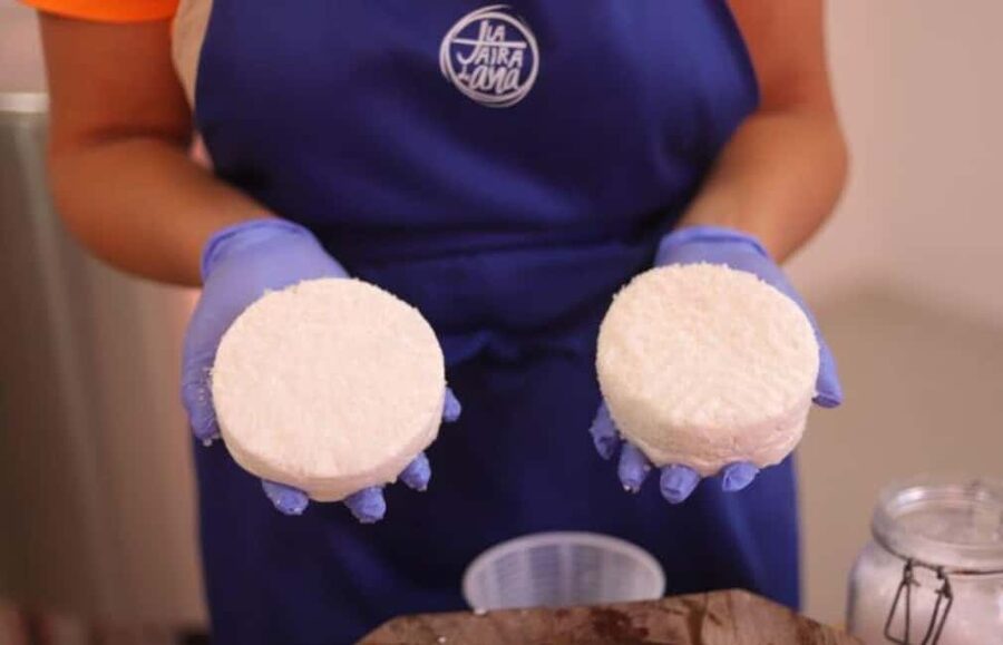 Gran Canaria: Cheese Workshop in Agüimes - Key highlights before you go
