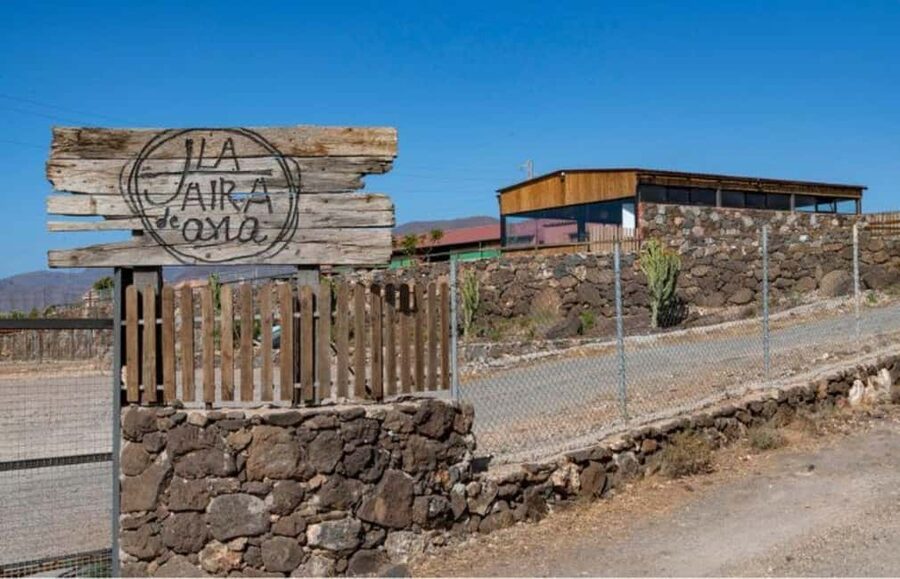 Gran Canaria: Cheese Workshop in Agüimes - The hands-on cheesemaking: coagulation to shaping