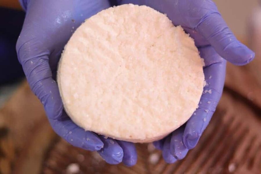Gran Canaria: Cheese Workshop in Agüimes - The start: welcome, milk collection, and learning the whole chain