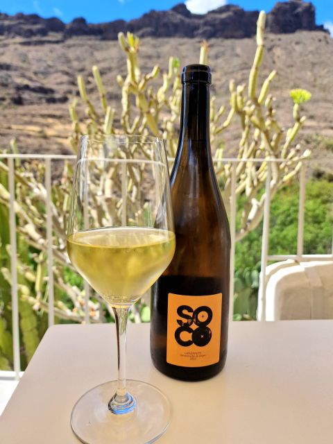 Gran Canaria: Tasting wine & local cheese in Mogan - The wine lesson: learning Spanish wine without getting lost
