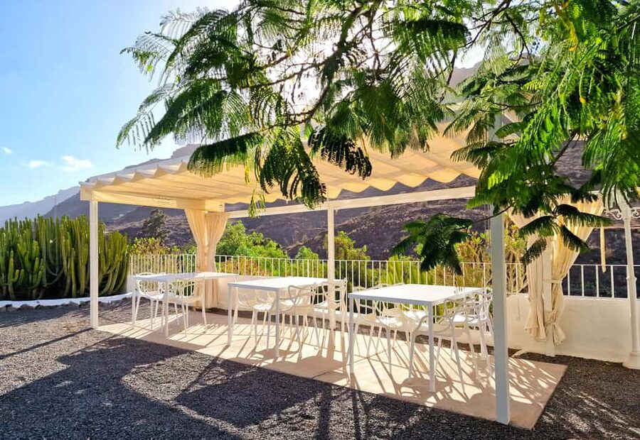 Gran Canaria: Tasting wine & local cheese in Mogan - What to bring (and what to skip)