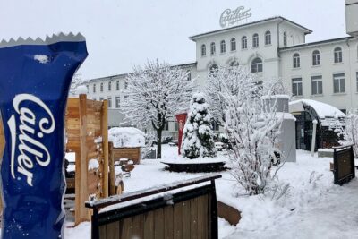 Gruyère Cheese and Chocolate Tasting Day Trip from Geneva - Hotel pickup, small van, and headsets: the comfort factor