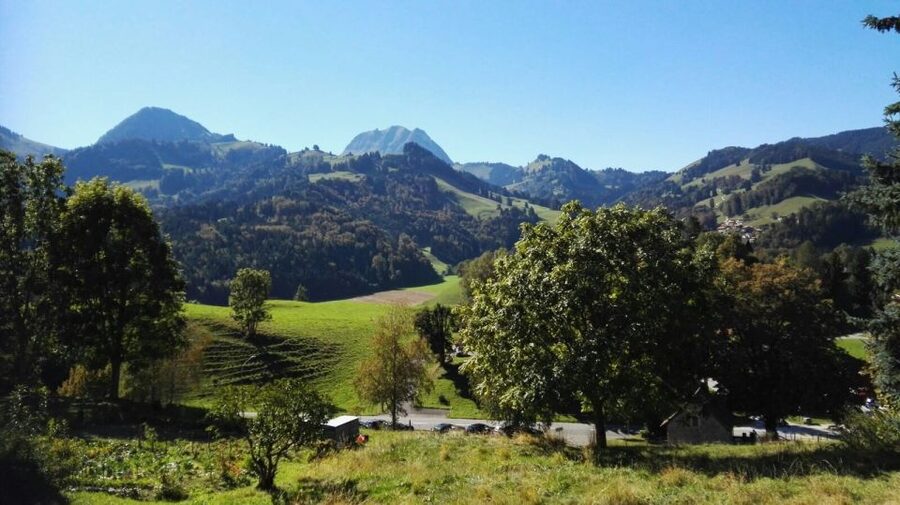 Gruyères, Cheese and Chocolate: Private Guided Tour - Golden Express or bus to Montreux: choose your scenic ending