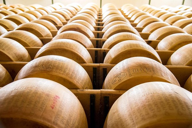 Guided group tour TastyBus: Parmesan Cheese and Parma Ham - Why this Parma food tour feels different: tastings with context