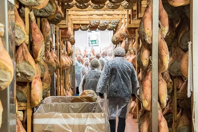 Guided group tour TastyBus: Parmesan Cheese and Parma Ham - Traditional balsamic vinegar tasting in an ancient acetaia: why DOP flavor is different