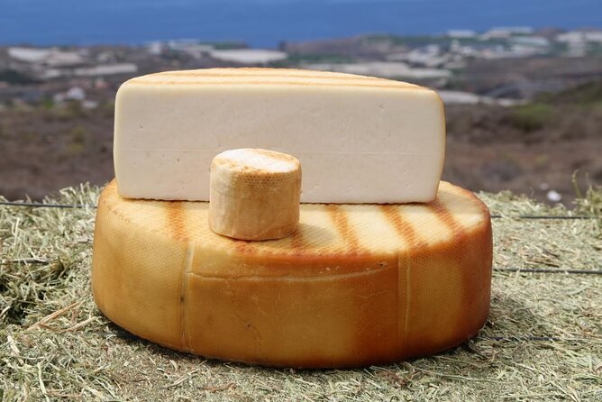 Guided Tour Montesdeoca Cheese Factory - Cheese and Wine Tasting - Montesdeoca Goat Cheese Factory: a real farm stop near Adeje