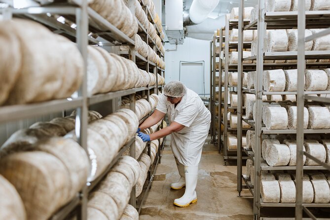 Guided Tour with Cheese & Wine Pairing - Cheese factory viewing platforms in Oamaru: what you’ll feel during the tour