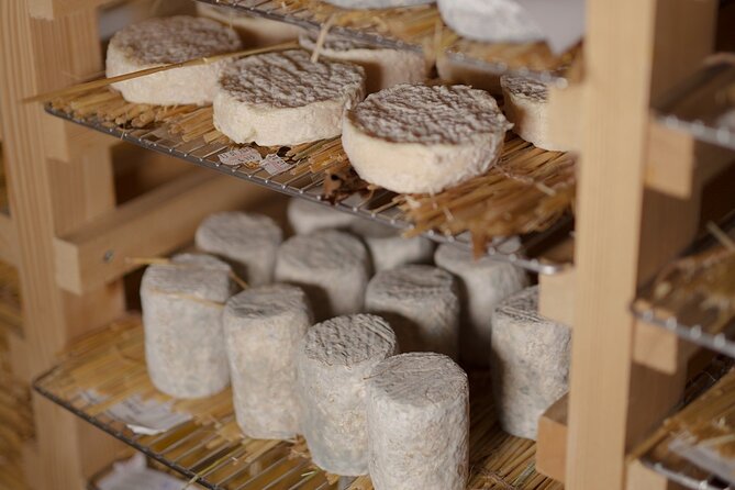 Guided visit of the Cheese Museum with Tasting Included - Live cheese making: why watching matters