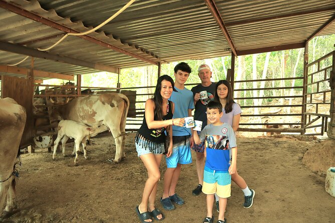 Hands-on Mexican Farm Experience: from Cow to Cheese - Key highlights you’ll feel on the day