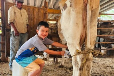 Hands-on Mexican Farm Experience: from Cow to Cheese - The open-air ride up the mountains: jungle views without the hard sell