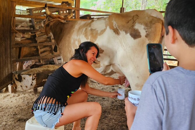 Hands-on Mexican Farm Experience: from Cow to Cheese - Fruit trees, seasonal snacks, and the ranch logic of “off the branch”