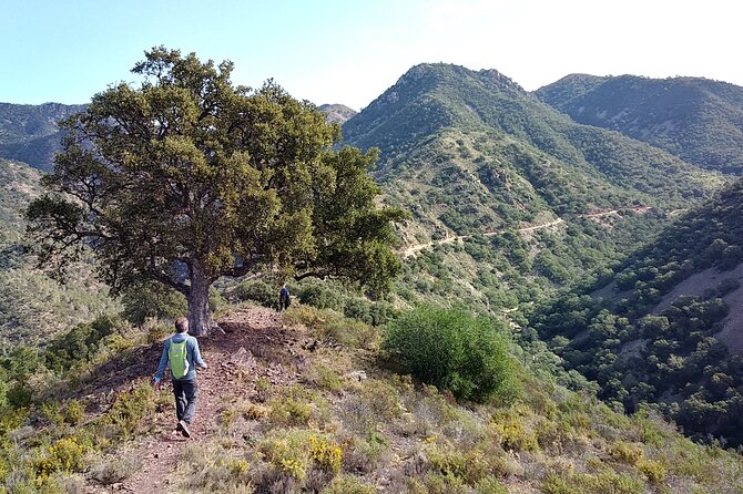 Hike the Cork Oak trail and try some Delicious Cheese - Key things you’ll remember