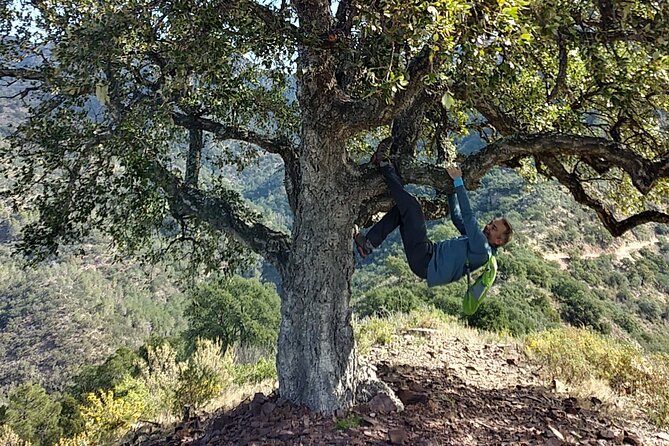 Hike the Cork Oak trail and try some Delicious Cheese - Almedijar cheese + Sierra Espadán: the core idea
